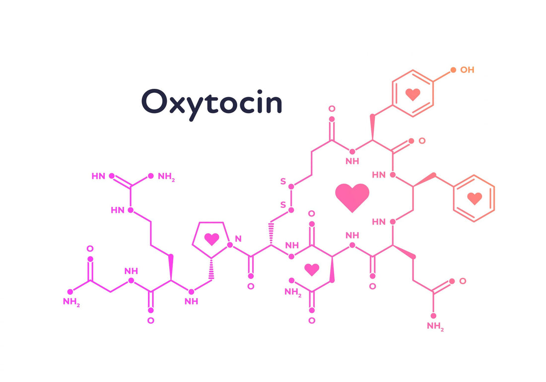 What is oxytocin — and can you actually trigger it on purpose?