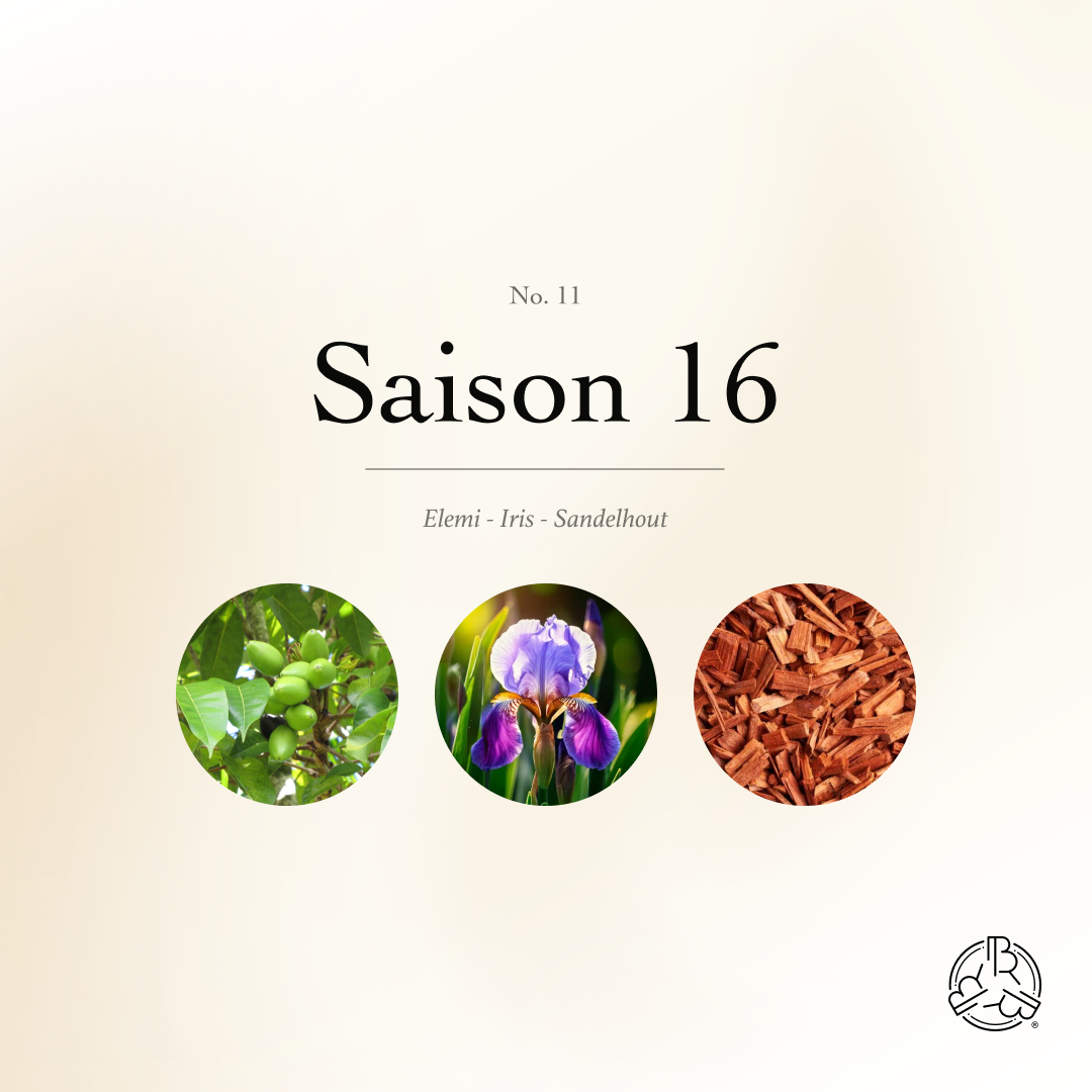 Maison Melts No. 11 - Saison 16