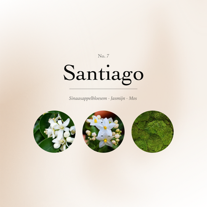 Maison Melts No. 7 - Santiago (Limited Edition)